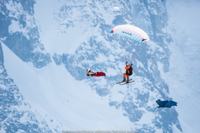 Give Me Five Flying Frenchies